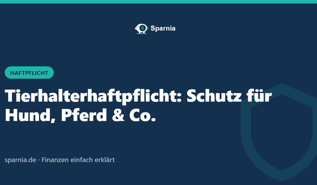 Tierhalterhaftpflicht: Schutz für Hund, Pferd und Co.